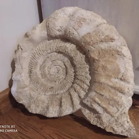 Kamiennikove Ferienhaus