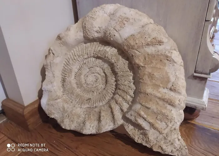 Kamiennikove Ferienhaus