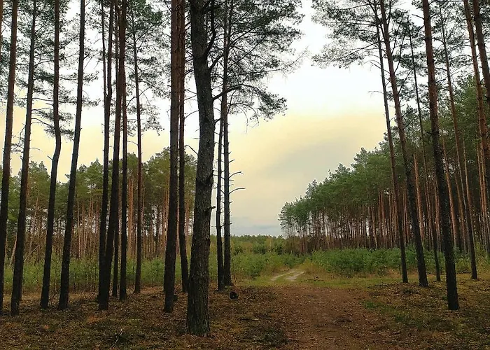 Kamiennikove Ferienhaus