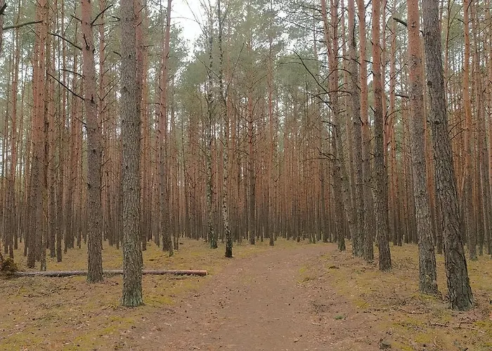 Ferienhaus Kamiennikove *